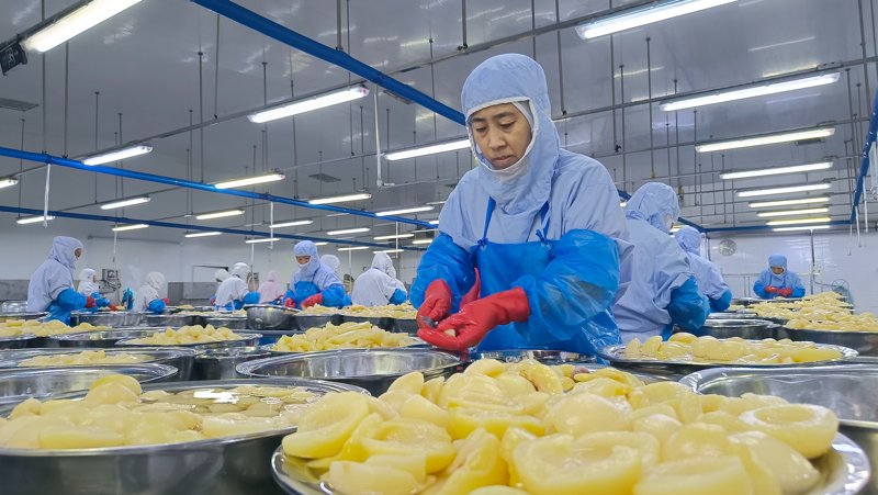 遵义食品行业的现状与前景分析