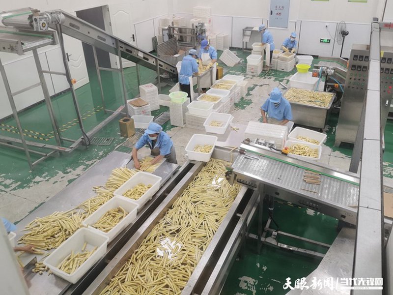 贵州食品加工