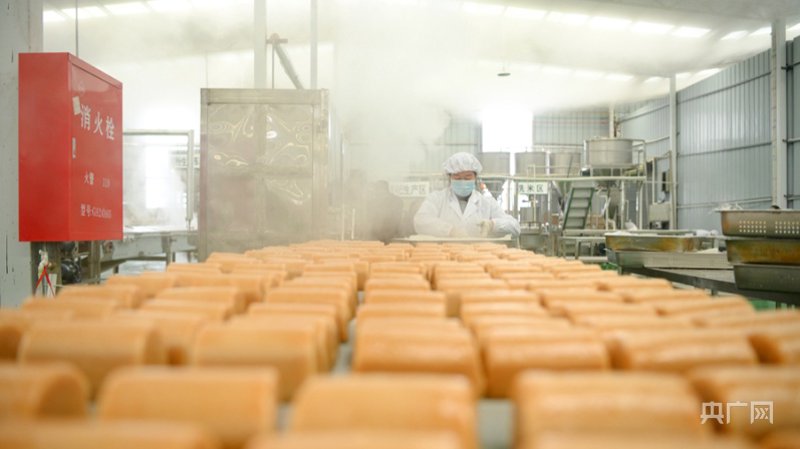 食品生产厂家：行业的创新与挑战